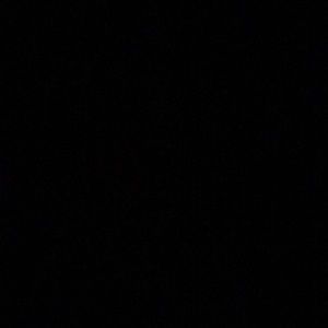 Meet your Posher, Nemo